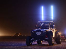 led buggy whip