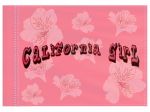 Stiffy Small 12 Inch Tall 18 Inch Wide Replacement Pink California Girl Flag For Whip Antennas