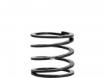 Black Eibach 300 Pound 3-1/4" Tall Linear Tender Spring For 2" Diameter Fox Or King Coil Over Shocks
